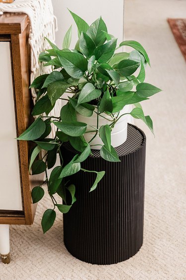 Try styling this contemporary plant stand on its own or alongside a cluster of other planters.