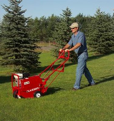 lawn aerator