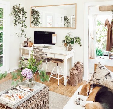 small-space home office with hanging plants