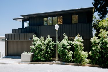 Modern black house with asymmetrical roof, concrete driveway, green trees in the front, street light