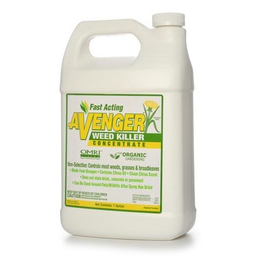 Avenger Weed Killer Concentrate