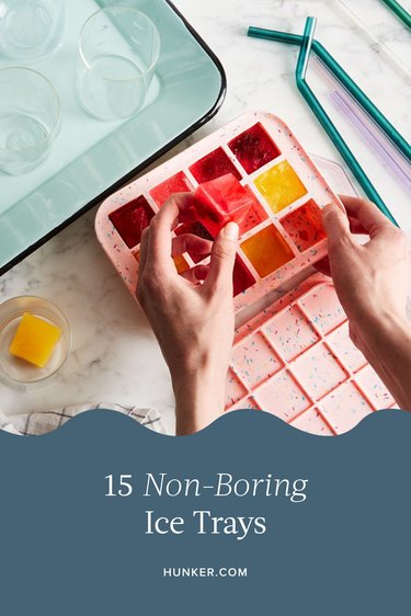 15 Ice Trays That Are Anything But Boring