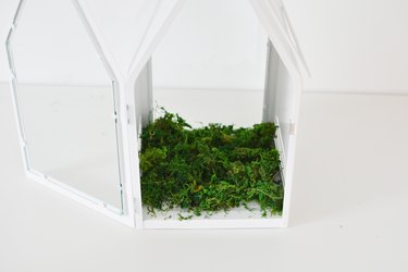 DIY Christmas Terrarium