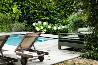 pool on a concrete patio surrounded by privacy hedges and a hydrangea shrub