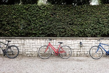 Privacy hedges on top of a brick half wall; three bicycles lean against the wall