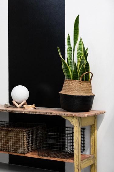 Snake plant in basket on shelf