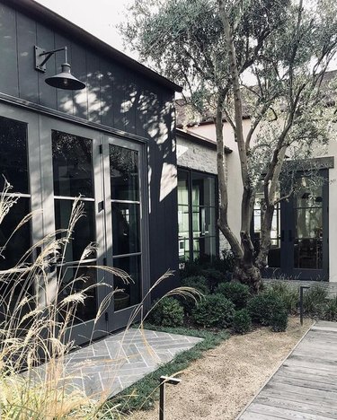 black home exterior surrounded by greenery