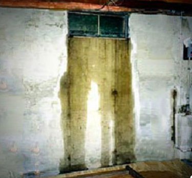 Leaking basement window.