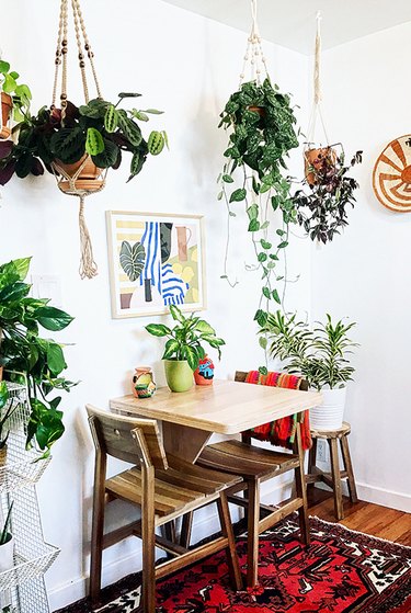 small dining room with lots of greenery