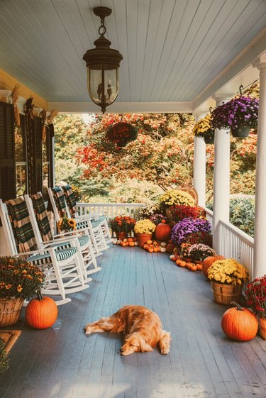 fall porch decor with rocking chairs and sleeping puppy