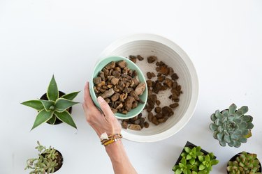 How to plant a succulent bowl planter