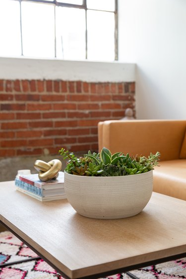 Succulent Shallow Bowl Planter DIY