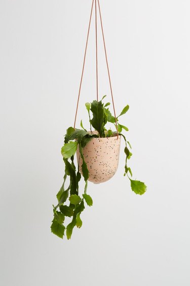 Capra Designs Hanging Terrazzo Planter, $59