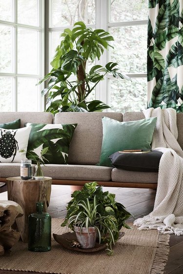 tropical living room with palm leaf drapery and pillows