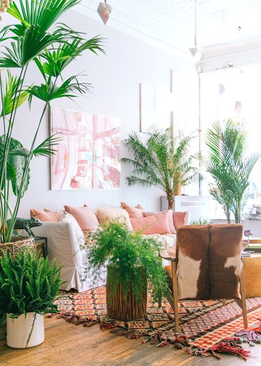 tropical living room with area rug and lots of greenery