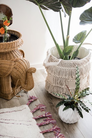 Plants and wicker