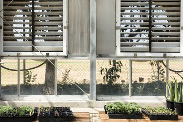 plants at the Fremont Wellness Center