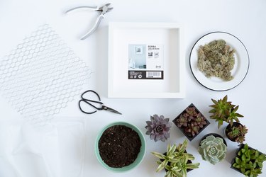 Succulent Wall Planter supplies