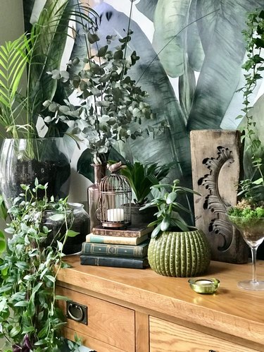 plant photo accent wall as backdrop for lush plants and greenery