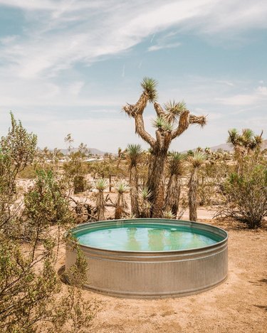 round stock tank pool in the desert near cacti