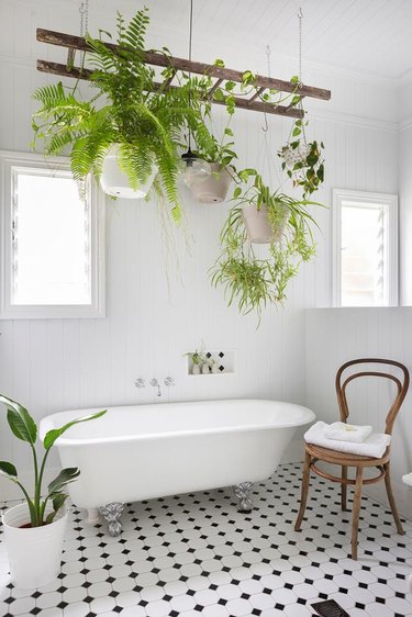 Scandinavian bathroom with clawfoot bathtub and hanging plants