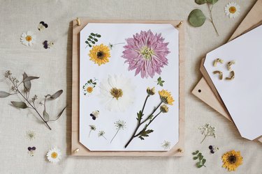 DIY flower press that's open with various pressed flowers on top