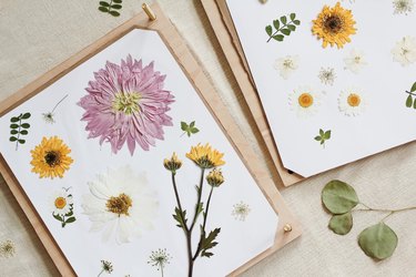 DIY flower press that's open with various pressed flowers on top