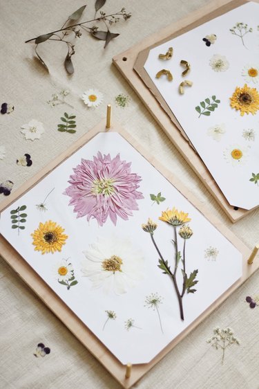 DIY flower press that's open with various pressed flowers on top