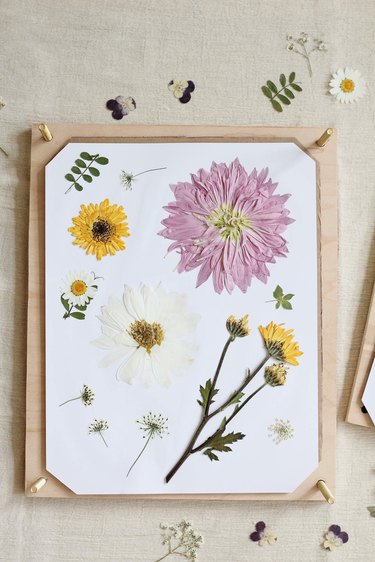 DIY flower press that's open with various pressed flowers on top