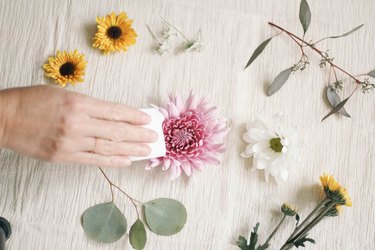 Blotting pink flower with tissue