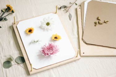 Various flowers placed on top of white paper inside the flower press