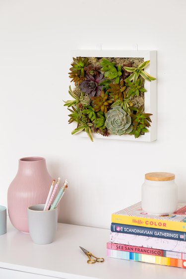 DIY Succulent Wall Planter