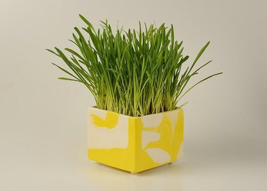 yellow square planter with plant