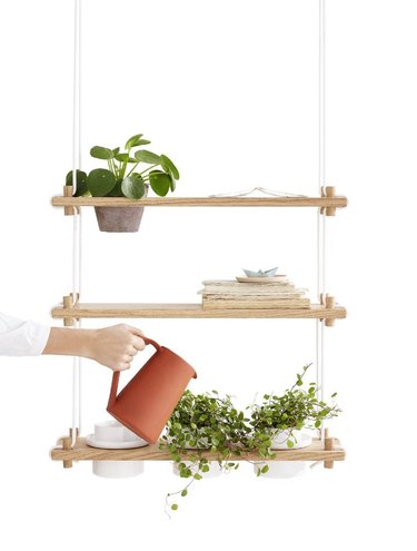 shelving system with plants and person watering a plant