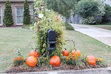 A fake pumpkin patch around a mailbox