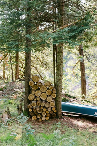 Logs of wood stacked up among trees