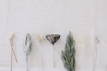 Painted pampas grass and dried flowers