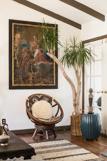 Tall tree plant in urban boho living room