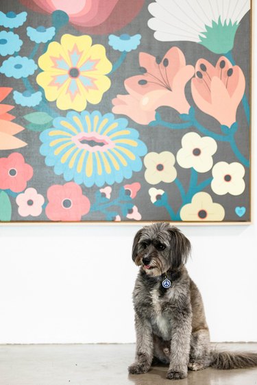 artwork and dog