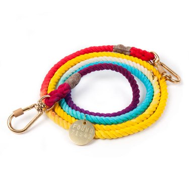 colorful rainbow inspired dog leash