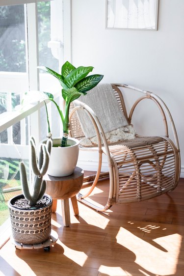 Plants by a rattan chair near a large window with natural light
