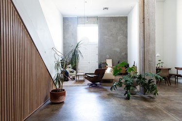 modern seating area with concrete floors, wood paneled walls, and greenery