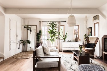 Living room with many plants