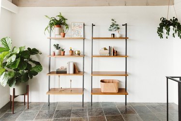 Bookcases with plants