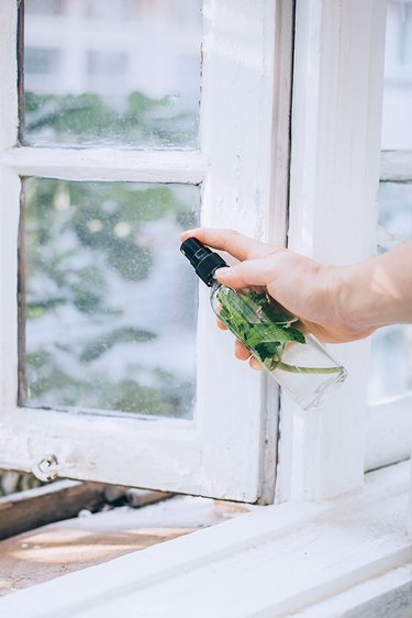 Natural ways to keep ants out of the kitchen