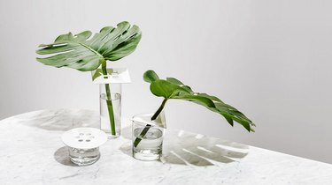 modern shape vases