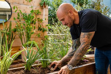 man planting bulbs in garden