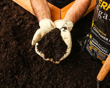 hands holding soil in garden bed