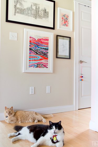 hallway with cats and framed art prints