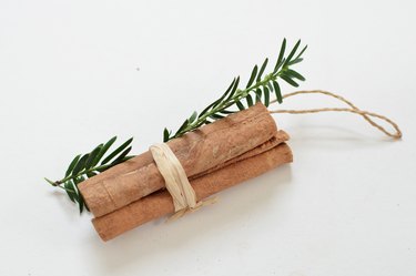 DIY Natural Ornaments